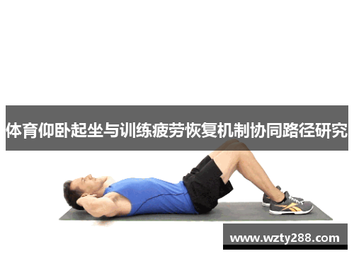 体育仰卧起坐与训练疲劳恢复机制协同路径研究